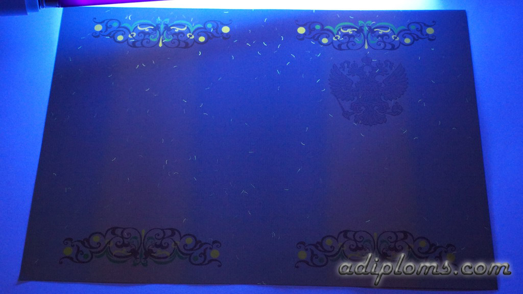 Диплом бакалавра 2010-2013 Фото Диплом бакалавра 2010-2013 Фото